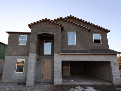 New construction Single-Family house 12165 Farrier Dr, Dade City, FL 33525 plan Malibu - image