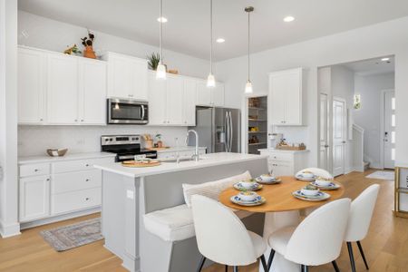 New construction Single-Family house 17401 El Hidalgo Dr, Unit 47, Round Rock, TX 78665 Meredith- photo 4 4