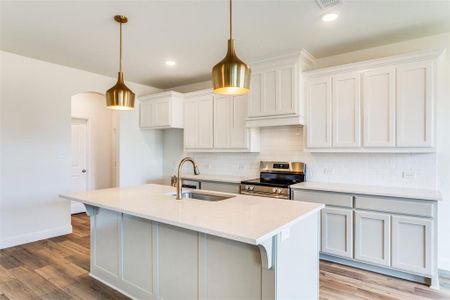 Kitchen with light wood-type flooring, sink, stainless steel range oven, and backsplash