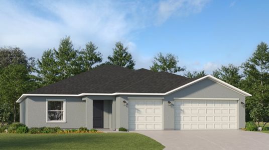 New construction Single-Family house 10441 Alder Green Dr, Riverview, FL 33578 null- photo 0