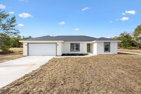 New construction Single-Family house 2 Fisher Lane Trl, Ocklawaha, FL 32179 - image