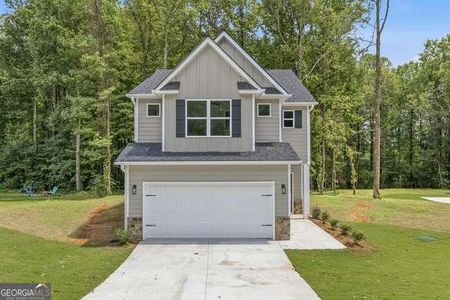 New construction Single-Family house 318 Stonington Dr, Mount Airy, GA 30563 - image