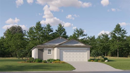 New construction Single-Family house 17643 Happytrails St, Land O' Lakes, FL 34638 Annapolis- photo 0