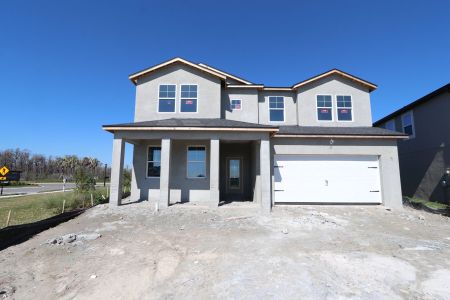 New construction Single-Family house 31205 Denham Ridge Ln, Wesley Chapel, FL 33545 Santa Monica- photo 74 74