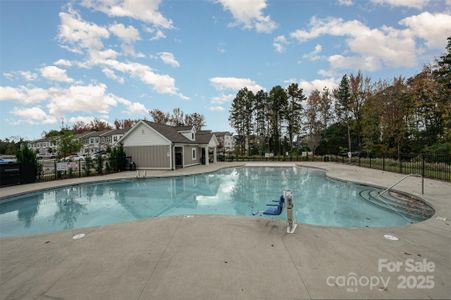 New construction Townhouse house 13047 Gadwal Pintail Dr, Charlotte, NC 28262 null- photo 25 25