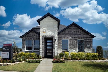 New construction Single-Family house 1200 Hyssop Dr, Celina, TX 75009 plan Walton - image