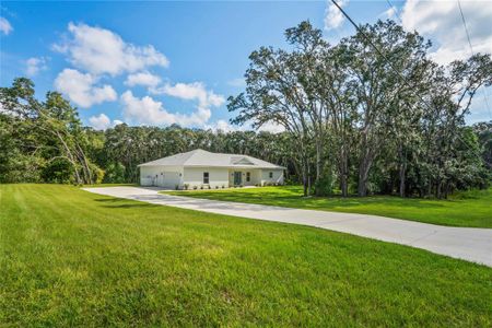 New construction Single-Family house 279 W Pearson St, Hernando, FL 34442 - image 15