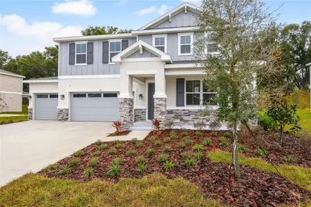 New construction Single-Family house 765 Wekiva Ridge Dr, Mount Dora, FL 32757 - image