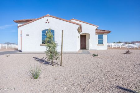 New construction Single-Family house 10476 W Appaloosa Trl, Casa Grande, AZ 85194 null- photo 2 2