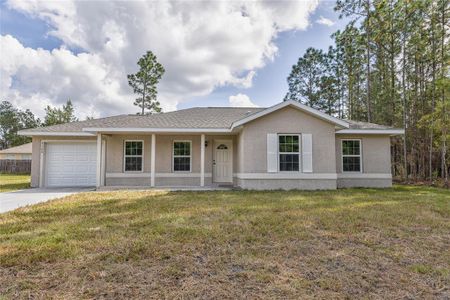 New construction Single-Family house 247 Malauka Loop, Ocklawaha, FL 32179 - photo 0