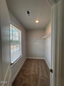 New construction Townhouse house 11 Joyner Park Dr, Rocky Mount, NC 27803 plan Plan 1817 Townhome - image 7