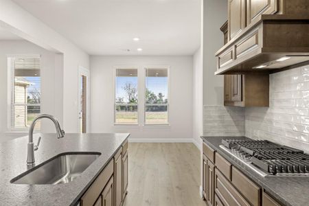 New construction Single-Family house 532 Birthright Ln, McLendon-Chisholm, TX 75032 plan Brady - image 17