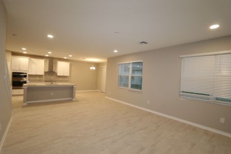 New construction Single-Family house 3063 King Fern Dr, Wimauma, FL 33598 Dali- photo 146 146