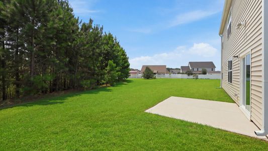 New construction Single-Family house 2675 Delilah Dr, Winterville, NC 28590 plan Hayden - Drhe - image