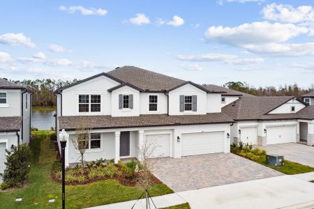 New construction Single-Family house 7819 Notched Pine Bnd, Wesley Chapel, FL 33545 Windsor- photo 82 82