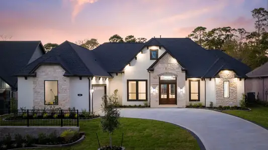 New construction Single-Family house 202 Victoria Ct, Montgomery, TX 77356 - image