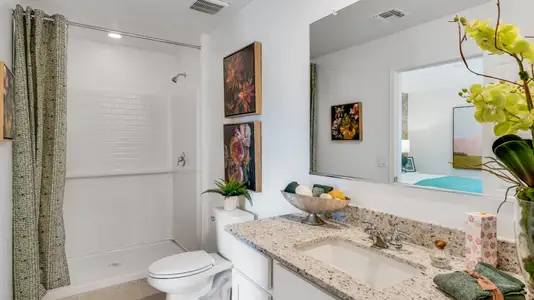 Sycamore Canyon: Dream Series 5