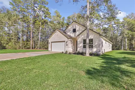 New construction Single-Family house 1118 Neros Palace, New Caney, TX 77357 - image