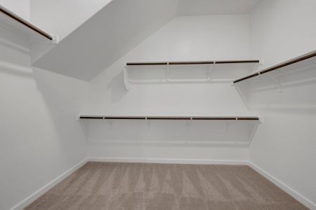 New construction Single-Family house 474 Bishop Wood Rd, Dripping Springs, TX 78620 plan Paramount II - image 10