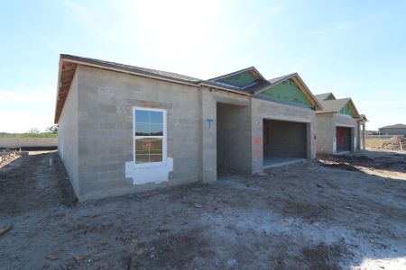 New construction Single-Family house 3150 Adams Cross Dr, Zephyrhills, FL 33540 Miranda- photo 30 30