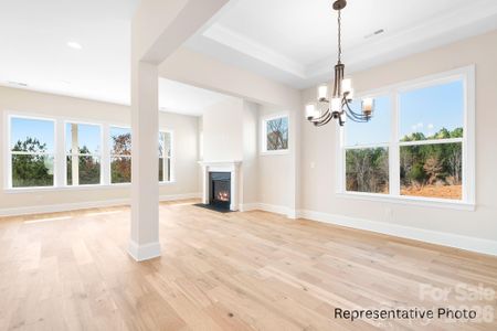 New construction Single-Family house 4172 Millstream Rd, Unit 137, Denver, NC 28037 - image 12