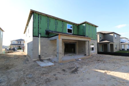 New construction Single-Family house 12146 Hilltop Farms Dr, Dade City, FL 33525 Cabo- photo 59 59