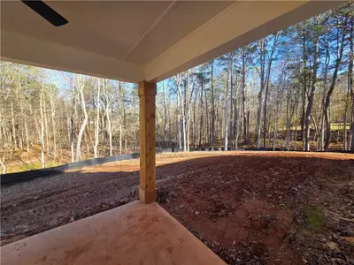 New construction Single-Family house 176 Paige St, Dallas, GA 30132 - image