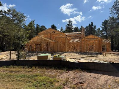 New construction Single-Family house 25043 Balmorhea Wy, Montgomery, TX 77316 - image