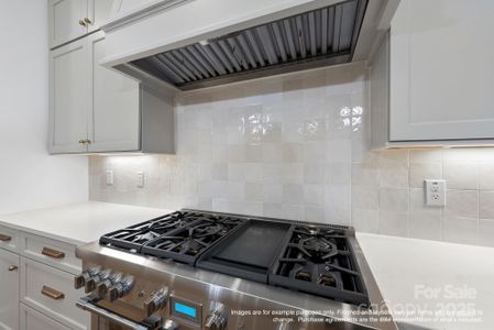 New construction Single-Family house 19155 Newburg Hill Rd, Davidson, NC 28036 null- photo 10 10