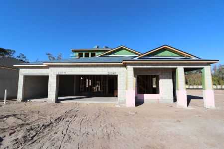 New construction Single-Family house 20267 Oriana Loop, Land O' Lakes, FL 34638 Newport II Bonus- photo 38 38