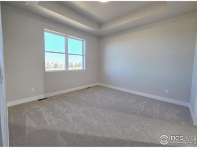 New construction Single-Family house 4790 Degas Dr, Loveland, CO 80538 - image 8