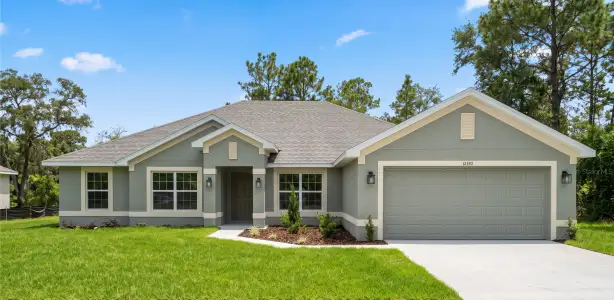 New construction Single-Family house 12330 Piping Plover Ave, Weeki Wachee, FL 34614 plan 2557 - image