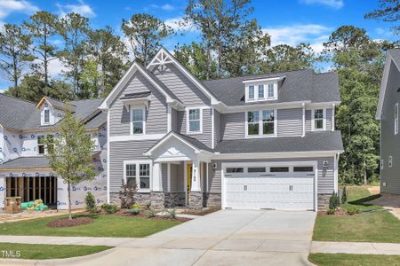 New construction Single-Family house 9164 Dupree Meadow Dr, Angier, NC 27501 plan The Hampton - image 2