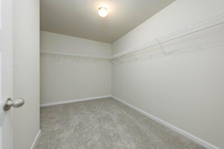 New construction Single-Family house 8 Purackal Ln, Statham, GA 30666 - image 14