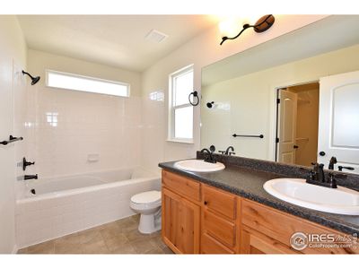 New construction Single-Family house 407 Vivid Ln, Windsor, CO 80550 Michigan- photo 29 29