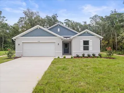 New construction Single-Family house 14438 Chimney Swift Rd, Weeki Wachee, FL 34614 - image