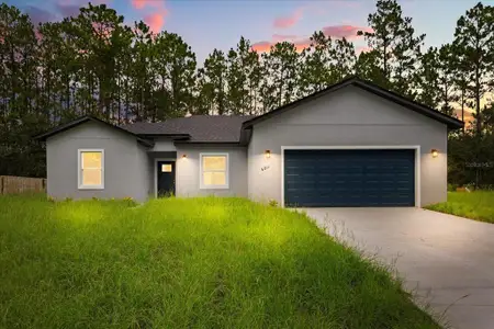 New construction Single-Family house 6211 Sw 144Th, Ocala, FL 34473 - image