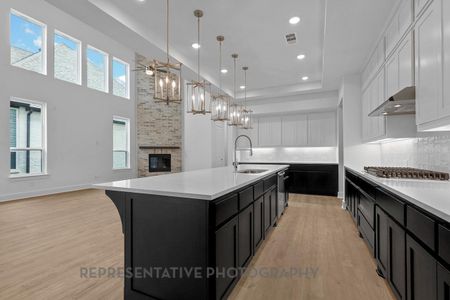 New construction Single-Family house 1614 Summer Pine Ct, Missouri City, TX 77459 plan Regis - image 4