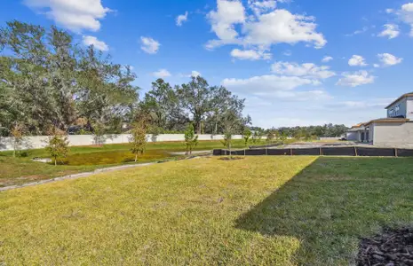 New construction Single-Family house 12620 Glenn Creek Dr, Riverview, FL 33569 Coral- photo 57 57