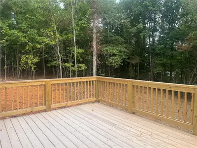 New construction Single-Family house 789 Peaceful Grove Dr, Cumming, GA 30041 - image