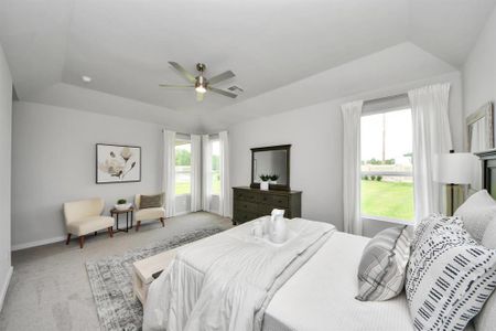 New construction Single-Family house 2142 Emerald Diamond Ct, Fresno, TX 77545 null- photo 20 20