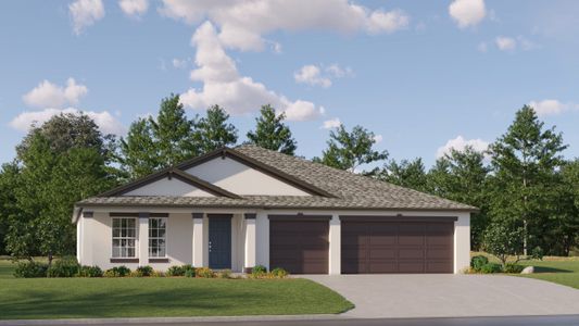 New construction Single-Family house 2338 Allium Roseum Ln, Plant City, FL 33565 plan Lincoln - image