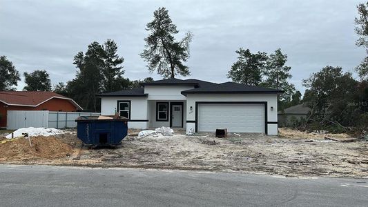 New construction Single-Family house 4020 Sw 151 Pl, Ocala, FL 34473 null- photo 0 0