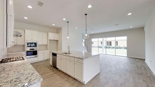 Reflections at Seabrook at Nocatee by ICI Homes in Nocatee - photo 6 6