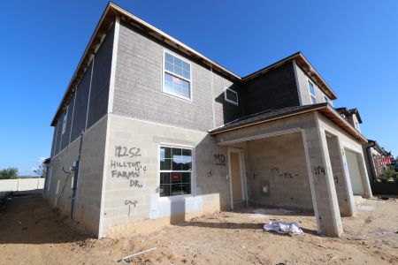 New construction Single-Family house 12252 Hilltop Farms Dr, Dade City, FL 33525 Cabo- photo 63 63