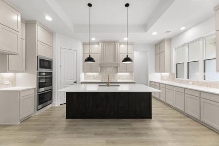 New construction Single-Family house 4650 Bonanza Dr, Midlothian, TX 76065 plan Madrid - image 9