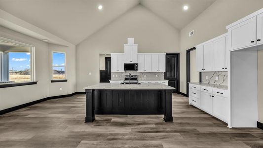 New construction Single-Family house 300 Jupiter Trl, Weatherford, TX 76088 - image 9