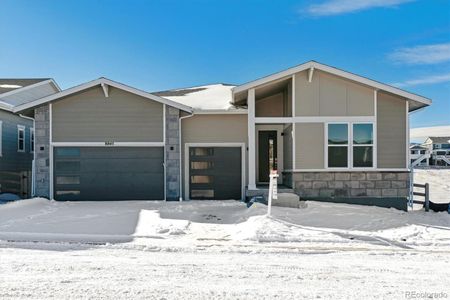 New construction Single-Family house 8845 Yellowcress St, Littleton, CO 80125 Nottingham- photo 20 20