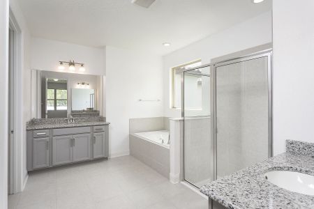 New construction Single-Family house 17607 Flemings Rd, Winter Garden, FL 34787 null- photo 12 12