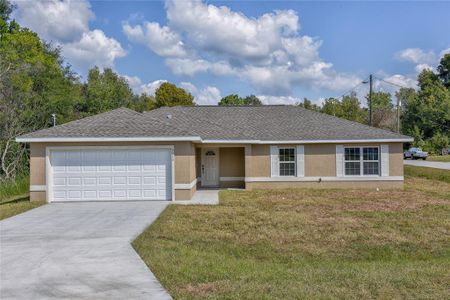 New construction Single-Family house 13899 Sw 89Th St, Dunnellon, FL 34432 null- photo 0